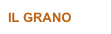 IL GRANO