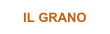 IL GRANO 