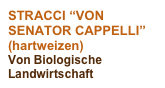 STRACCI “VON SENATOR CAPPELLI”
(hartweizen)
Von Biologische Landwirtschaft